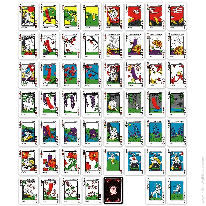 All iNudi Fusion Playing Cards and card back, 54 unique cards.